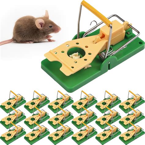 amazon mouse trap